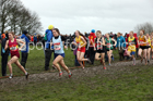 Senior girls 2019 New Balance English Schools Cross Country Champs, Temple Newsam, Leeds. Photo:  David T. Hewitson/Sports for All Pics